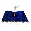 dancing floor led display (1)